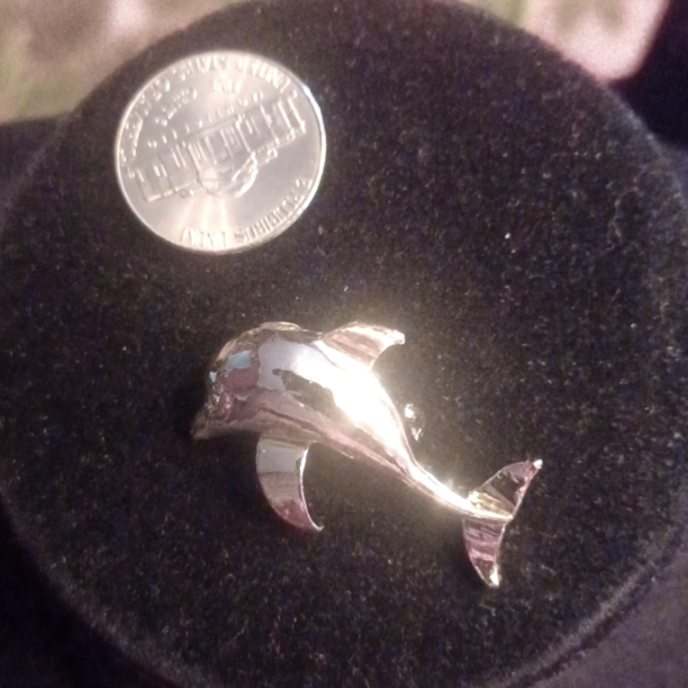 Very pretty dolphin 🐬 pin